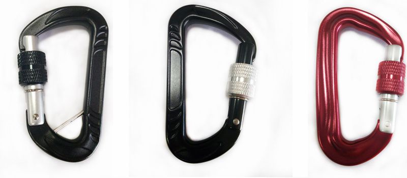 dog leash with locking clasp