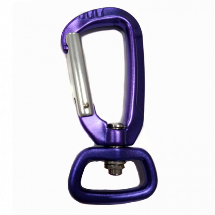 purple dog accessories